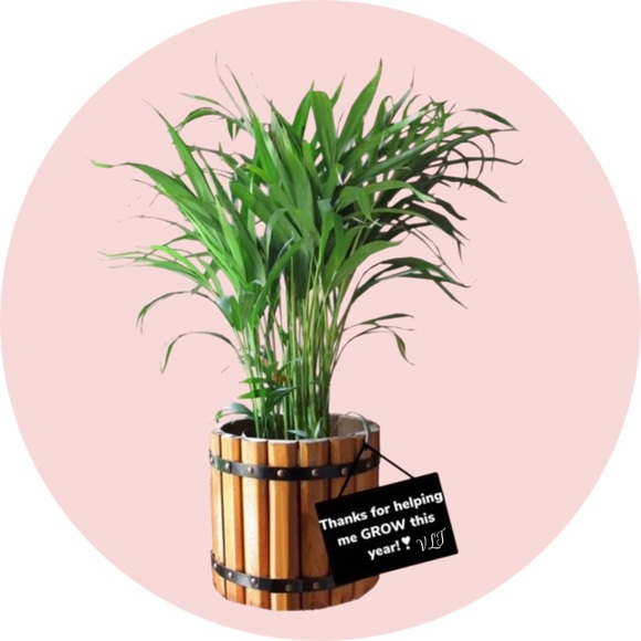 Banana Republic M Soft Wash Standard Fit Size Medium Cascade Blue 100% … - Picture 10 of 11